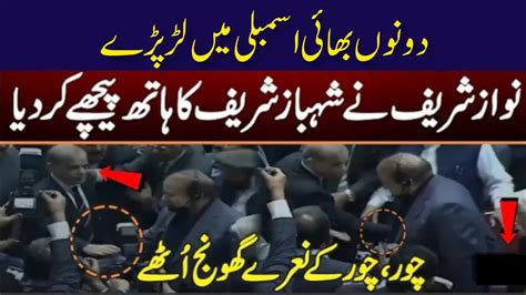 Nawaz Sharif And Shahbaz Sharif Fight In National Assembly Nawaz