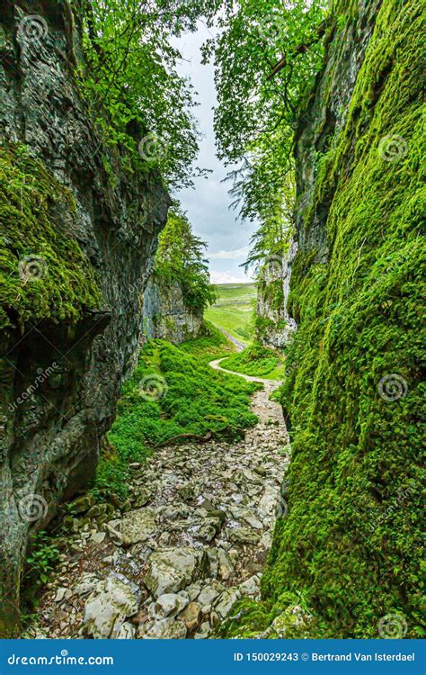 A View Of A Rocky Ravine With Green Vegetation And Rocky Path Trail