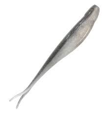 Best Jerkbaits For Bass