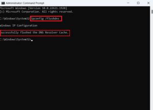 How To Flush DNS Cache In Windows 11 TechCult