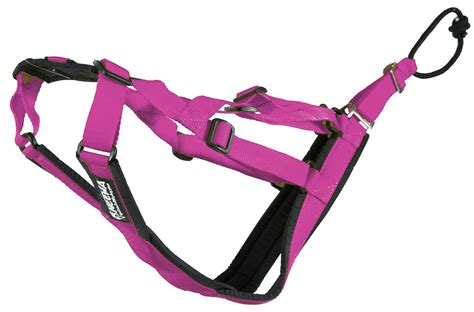 The Best 5 Mushing Dog Sled Harnesses