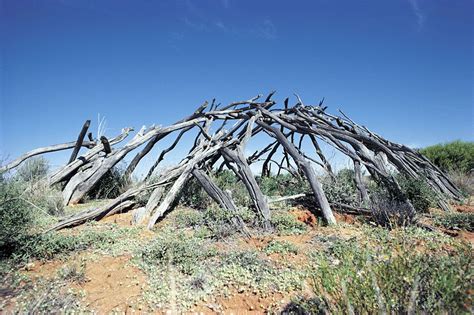 Things to do in NSW | Australian aboriginal history, Aboriginal culture ...