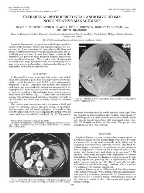 Pdf Extrarenal Retroperitoneal Angiomyolipoma Nonoperative