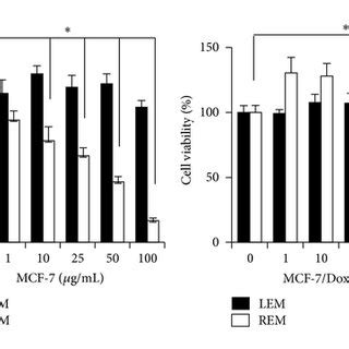 Rem Reduces Cell Viabilities Of Mcf Dox Cells A Mdr Mrna And