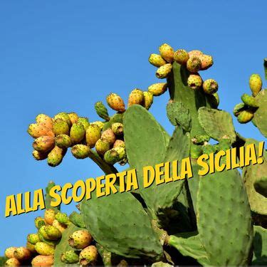 Book Creator Alla Scoperta Della Sicilia