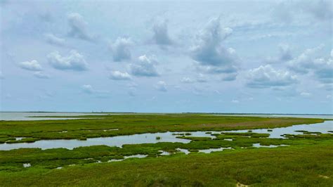 Aransas National Wildlife Refuge Texas Coastal Bend