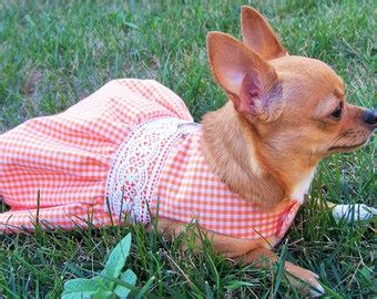 Fall dog dress | Etsy