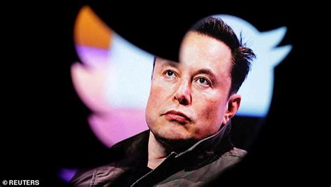 Elon Musks Global Empire The Weird And Wonderful Companies The