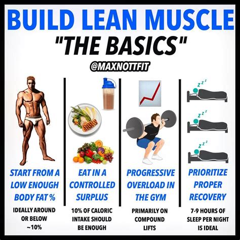 Tips for How to Build Muscle – Building Muscle Workouts – Asiya magick ...