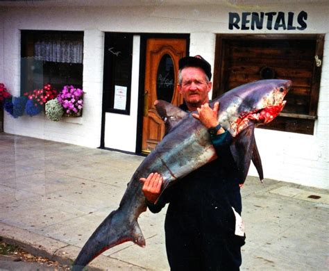 Common Thresher Shark Pier Fishing In California