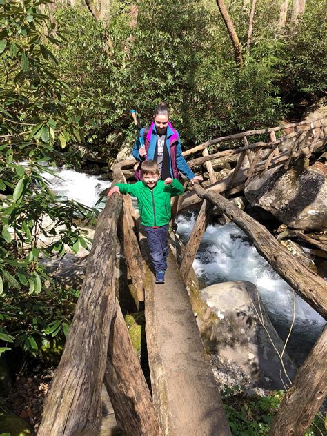 Porters Creek Trail To Fern Branch Falls Great Smoky Mountain