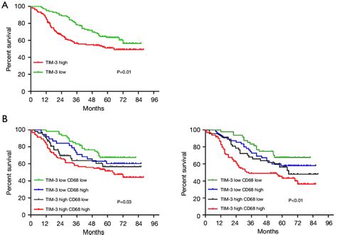 The Distribution And Prognostic Significance Of Tim Positive Tams In