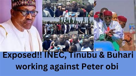 EXPOSED INEC Buhari And Bola Tinubu Trying To Frustrate Peter Obi S