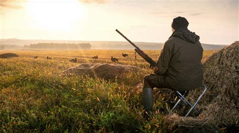 Hunting Guns | The Top 5 Guns You'll Need For A Wilderness Walk-out