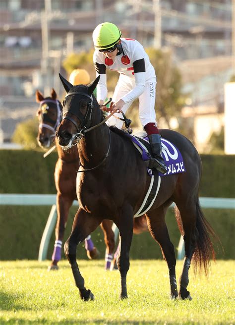 【朝日杯fs】g1初挑戦のルーキー角田大河騎手、ウメムスビは15着「いい経験ができました」 2歳馬特集 競馬写真ニュース 日刊スポーツ