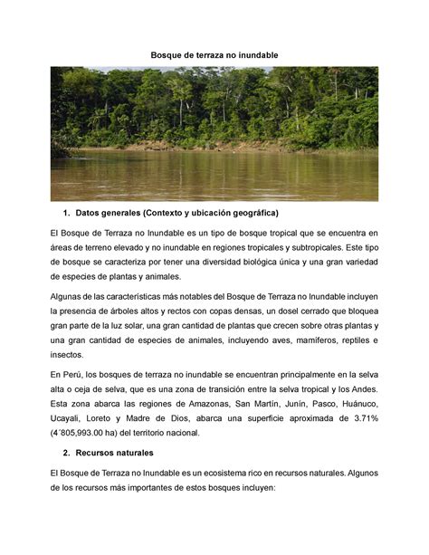 Ecosistemas Del Per Bosque De Terraza No Inundable Datos Generales