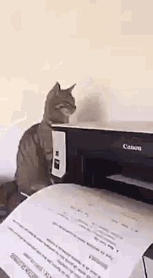 Money Printer GIFs | Tenor