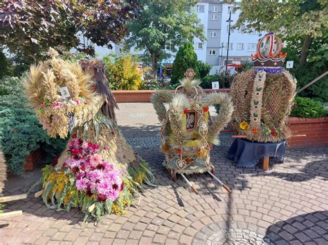 Dożynki województwa pomorskiego w Szemudzie Szczegółowy program