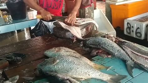 Ikan Segar Pasar Bastiong Ternate Maluku Utara Youtube