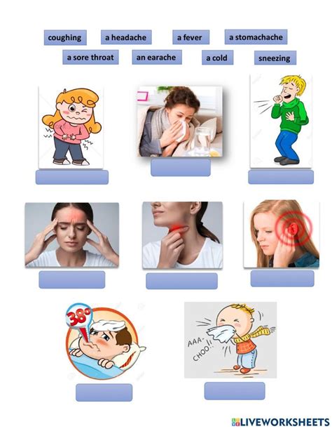 Common Illnesses Worksheet In 2023 Phonics Reading Activities