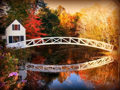 🔥 [50+] Maine Fall Foliage Wallpapers | WallpaperSafari