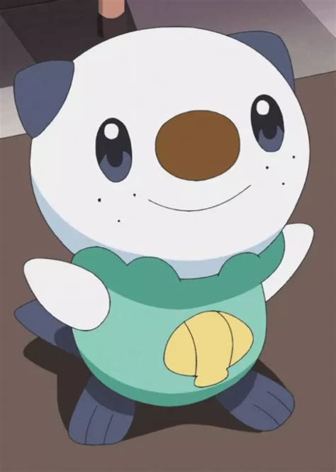 Oshawott | Anime-Planet