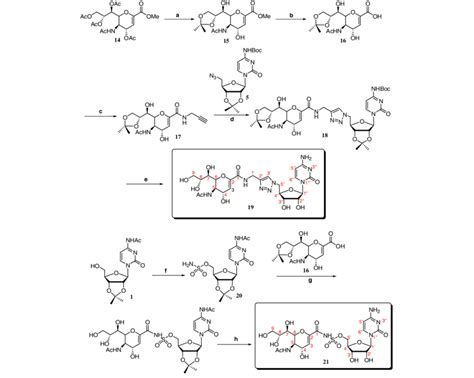 Scheme 3 Reagents And Conditions A I NaOMe MeOH Ii DMP PTSA