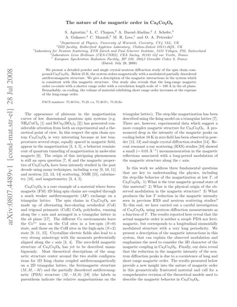 Pdf Nature Of The Magnetic Order In Ca Co O