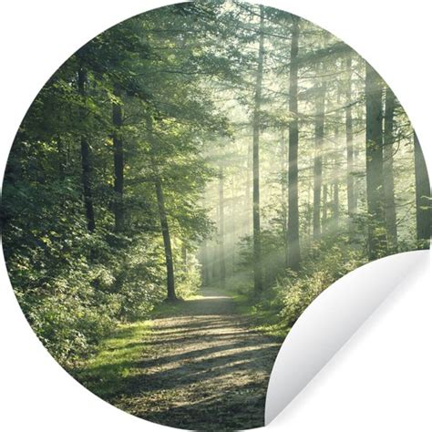 WallCircle Muurstickers Behangcirkel Bos Pad Zon Bomen