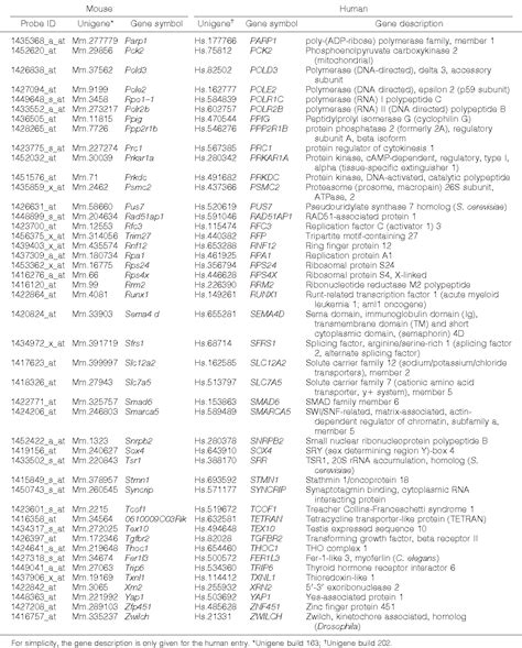 Table From Tumorigenesis And Neoplastic Progression Cross Species