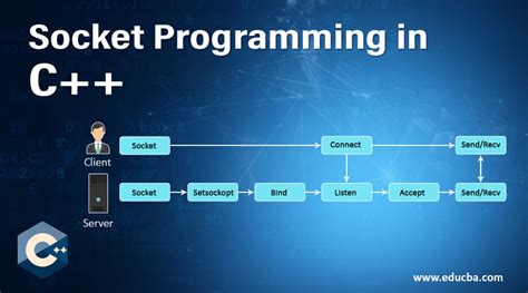 Socket Programming In Python Tutorial Bruin Blog