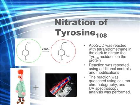 Ppt Investigating The Folding Properties Of Superoxide Dismutase