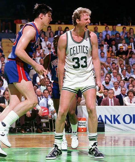 Bill Laimbeer and Larry Bird | Basquete fotos, Esportes, Basquete