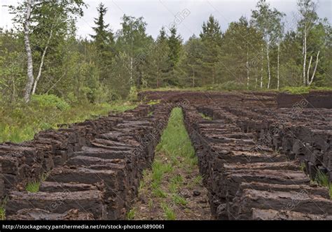 Torf Stechen Im Hochmoor In Bayern Stockfoto Bildagentur