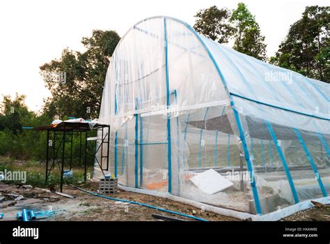 PVC Structured Greenhouse in Rural of Thailand Stock Photo - Alamy