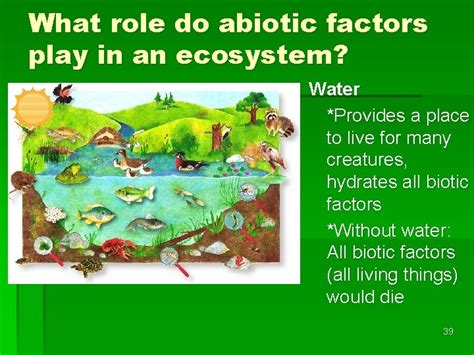 Biotic and Abiotic factors 1 All Ecosystems Have