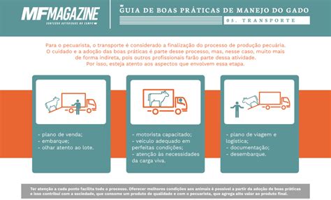 Boas Práticas No Transporte Do Gado Mf Magazine