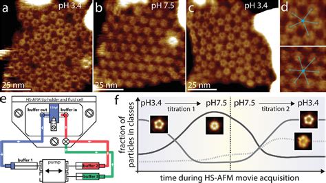 Figure From Advances In High Speed Atomic Force Microscopy Hs Afm