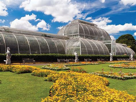 How Botanical Gardens Save Plants with Science | Britannica