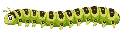 Caterpillar Vector Art, Icons, and Graphics for Free Download