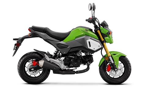 2019 Honda Grom Guide • Total Motorcycle