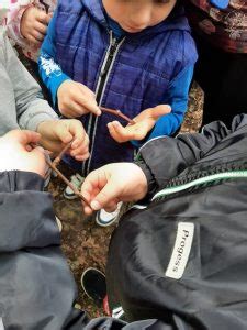 I Piccoli Esploratori Della Scuola Dellinfanzia Dellic Perri Pitagora