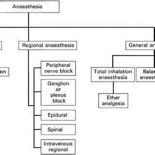 Different correlations used in anaesthesia research. (a) Meyer–Overton ...