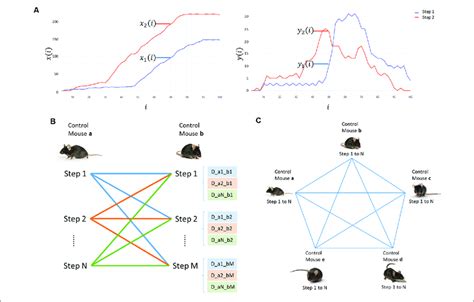 analysis process   displacement data  displacement graph