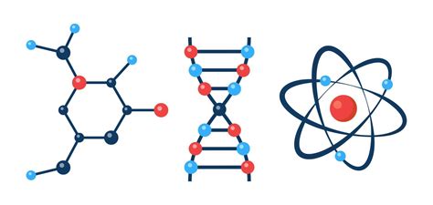 Tomo Mol Cula De Sustancia Org Nica Fragmento De Cadena De Adn