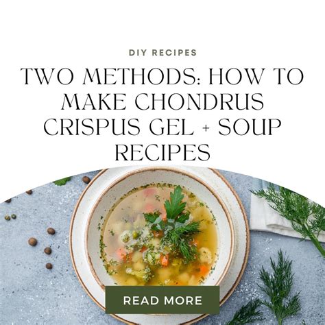 Two Methods: How to Make Chondrus Crispus Gel + Soup Recipes – Go ...