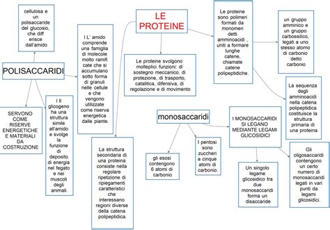 Mappa Concettuale Proteine Porn Sex Picture