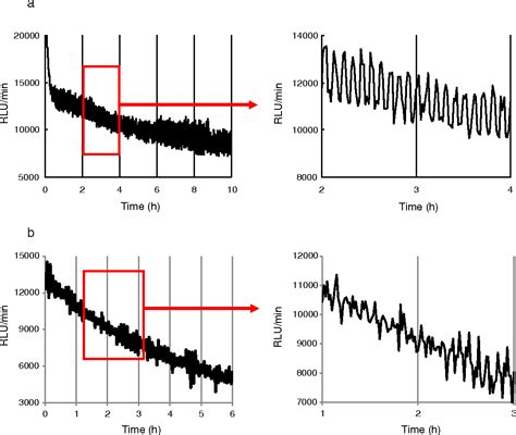 Figure 3 From Simultaneous Monitoring Of Intracellular Atp And Oxygen