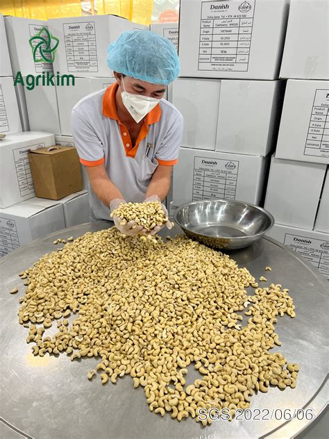 Cashew Nuts In Vietnam Exquisite Quality Global Appeal Agrikim