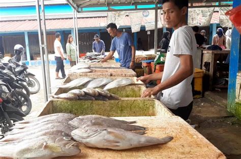 Berburu Ikan Segar Di Pelelangan Karangantu Titikkata Referensi